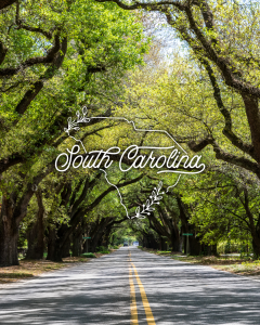 A photo of south boundary with South Carolina Words and State