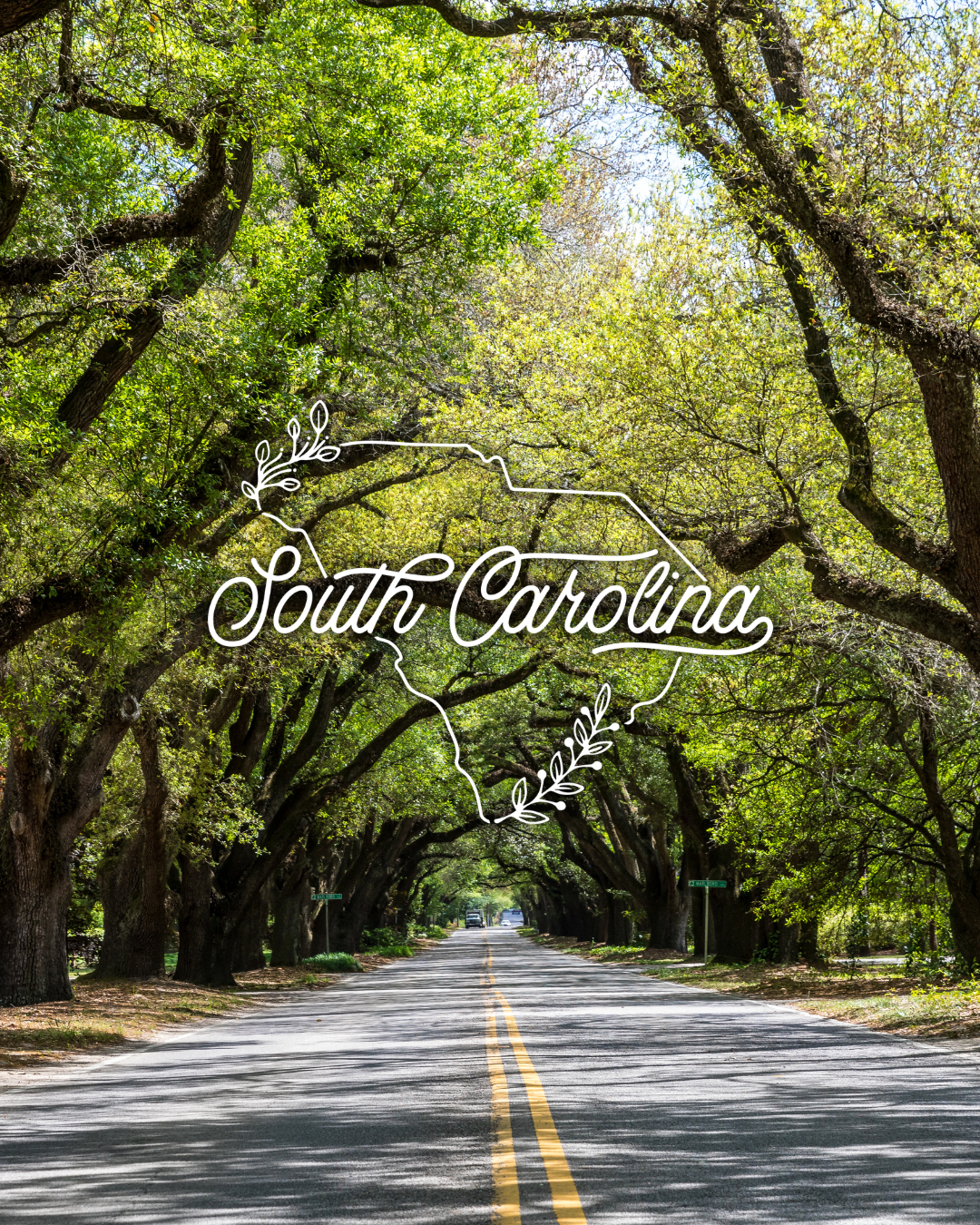 A photo of south boundary with South Carolina Words and State