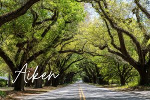 Navigating My Medicare | Bryan Noar Medicare insurance planning services available in Aiken, SC.