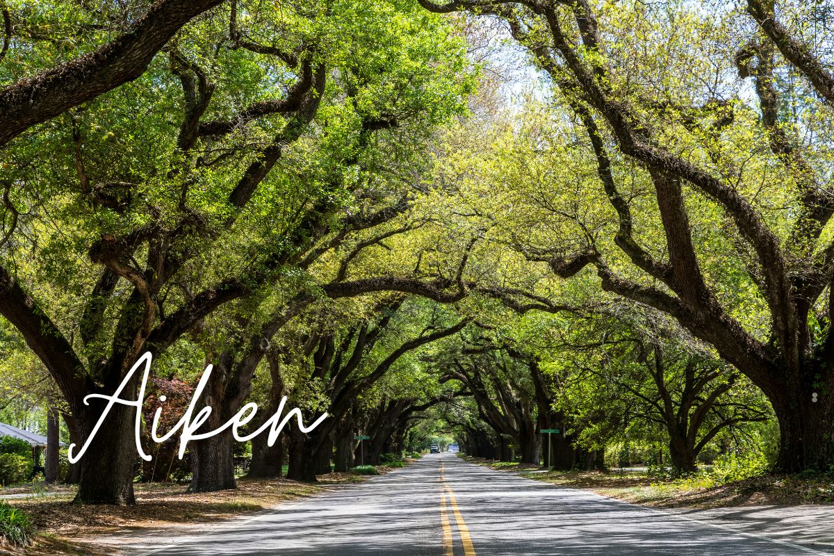 Medicare insurance planning services available in Aiken, SC.