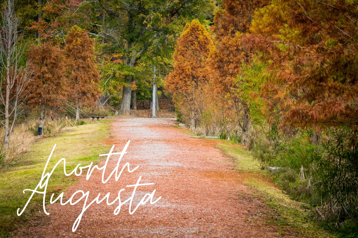 Medicare insurance planning services available in North Augusta, SC.